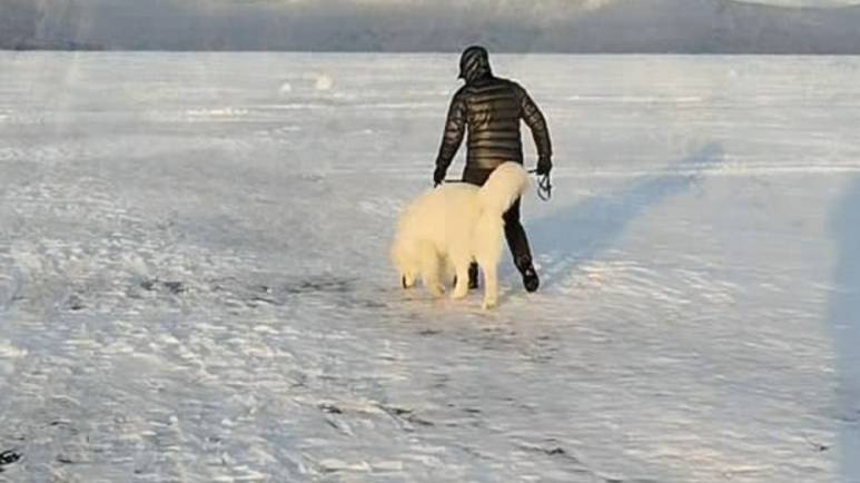 Утро