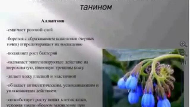 Skinny Body Care Школа по продукту+ вопрос ответ  Н  Щербакова 09 01 14г
