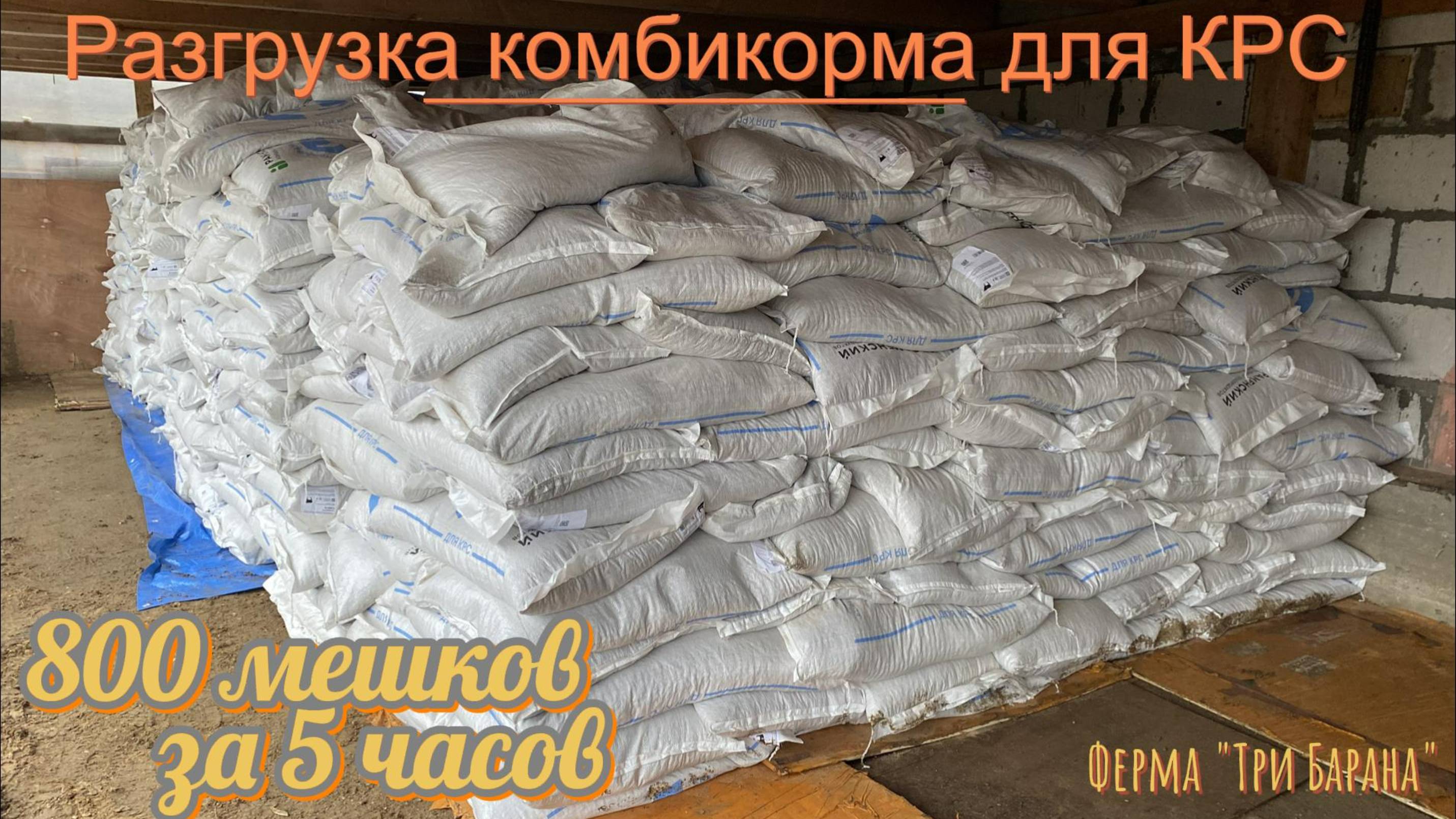 Разгрузка корма для КРС 800 мешков за 5 часов