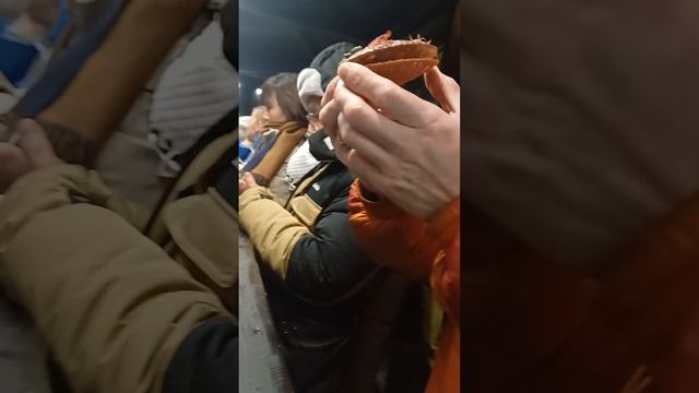 Отдых в Арктике. Дары Баренцева моря