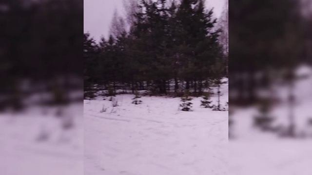 АРХИВ! 7 вторжений весны за этот период зимы (по 2.02.25)