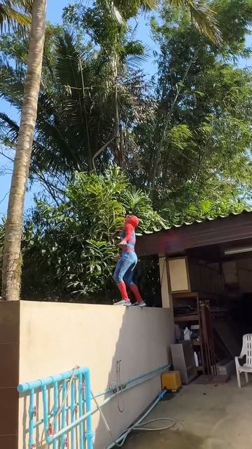 Monkeys run away from Spider-Man#funny