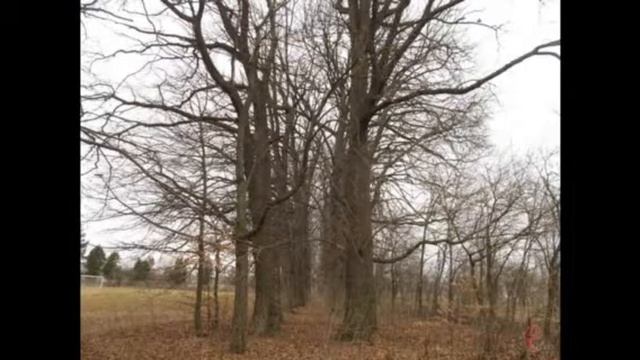 Заняття для дошкільнят. Пізня осінь.