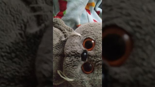 Басик поехал в лагерь