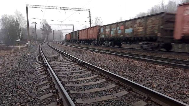 VID_20250201_145130.mp4