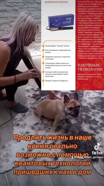 Активатор клеток для животных