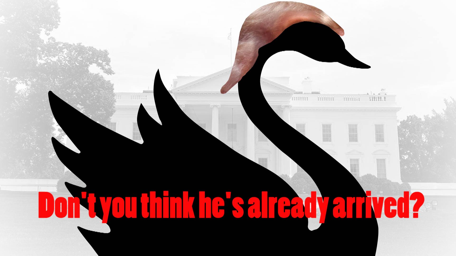 Is Donald Trump a Black Swan? #trump