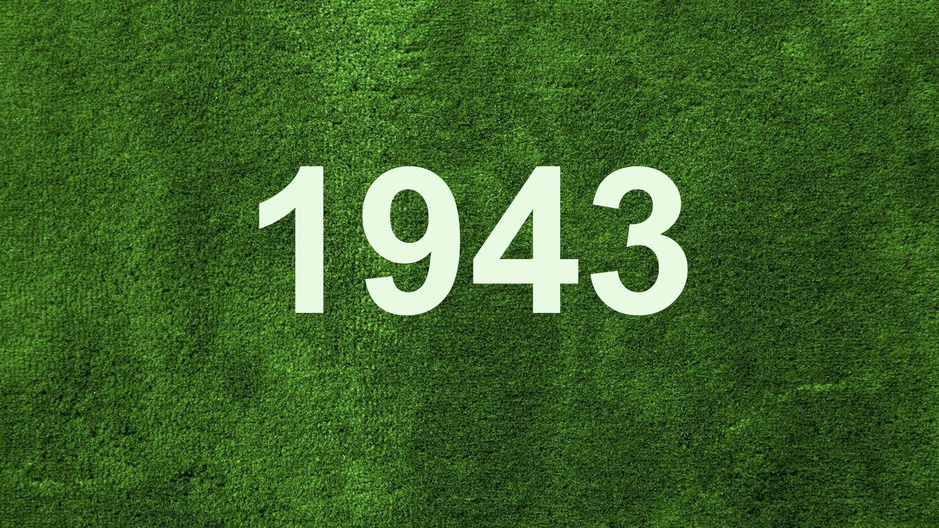 За Родину ! 1943