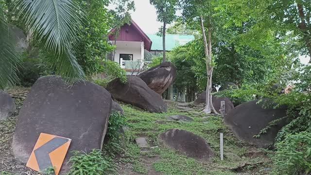Dream seaview bungalows с кафе «У Миланы» - отличный вариант жилья на острове Панган