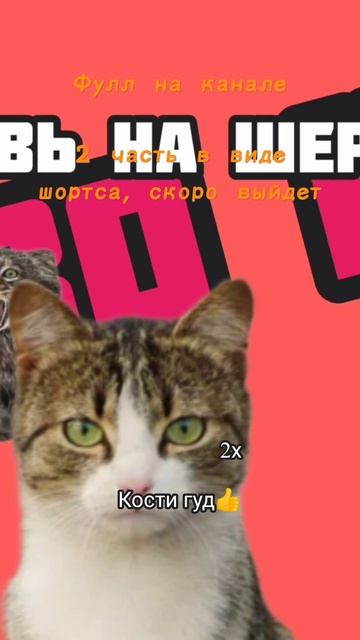 🎶СЛОВО КОТА,КРОВЬ НА ШЕРСТИ(субтитры,перевод)🎶 на 11 лайков,2 часть выпущу в виде шортса😜 #мемы #me