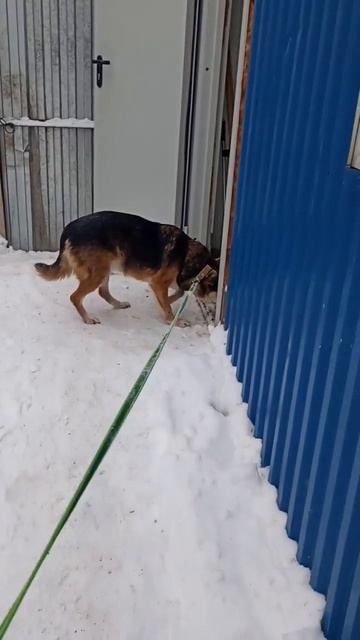 ПЕТЕНЬКА, ПЕТРУША... ПЕТЯ ПОЛНОСТЬЮ ОСЛЕП