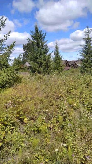 узкоколейка.от всей деревни остался один дом