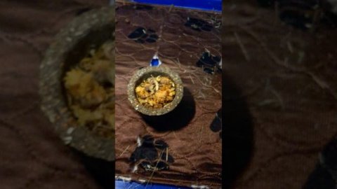 Кролик Тёма