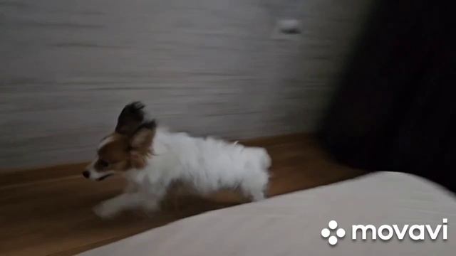 КОГДА ПОМЕНЯЛ БАТАРЕЙКИ...