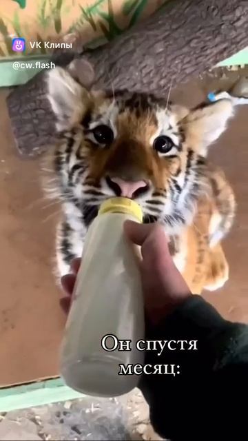 про отношения с парнем.