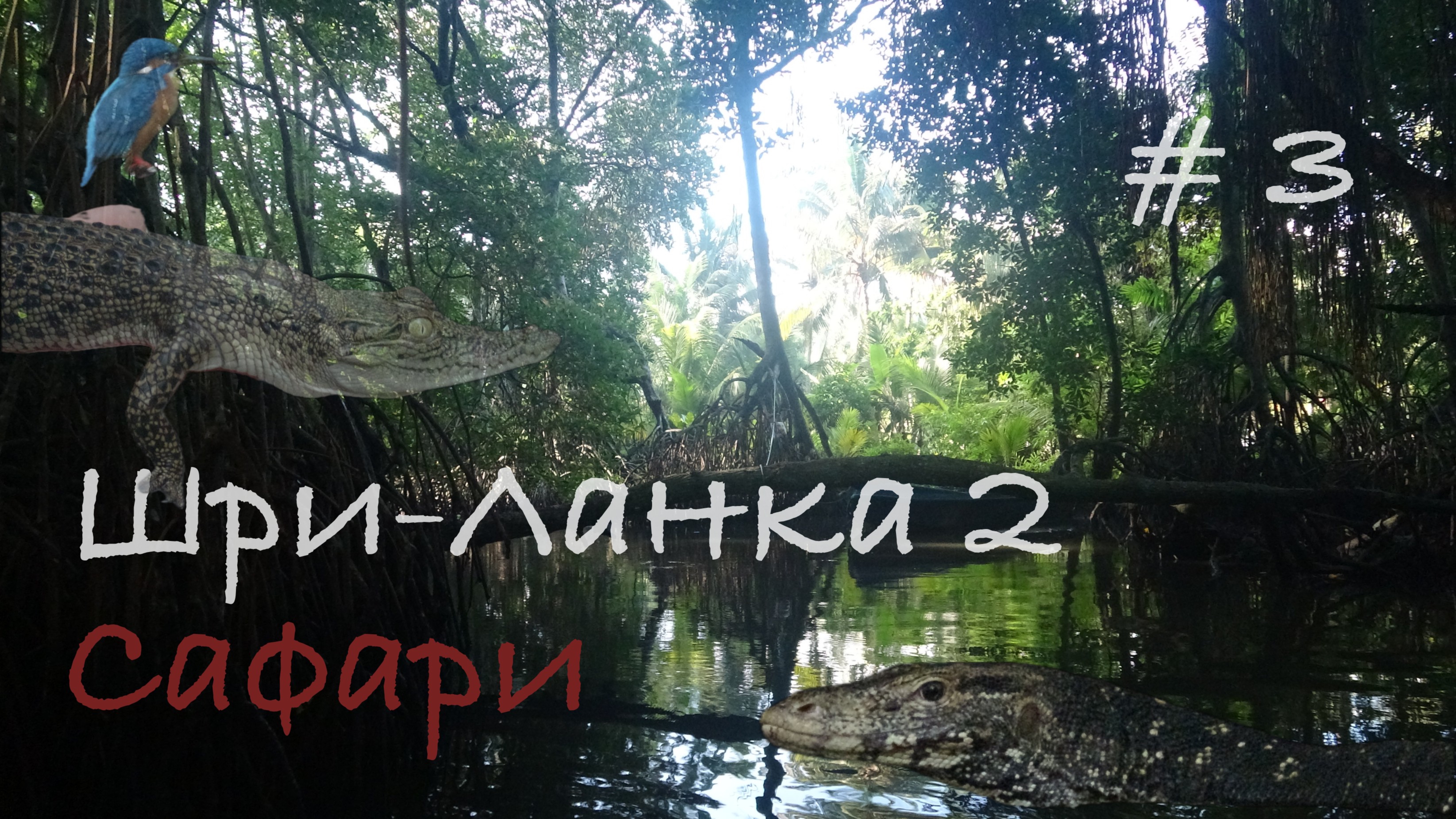 Шри-Ланка 🇱🇰 Бентота🌴 Сафари по реке Ганга🐊