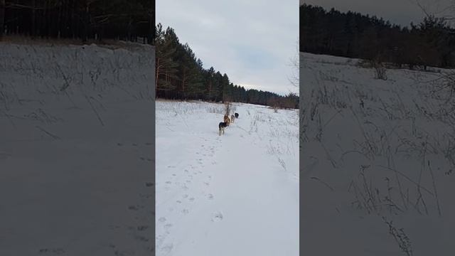 VID-20250130-WA0023