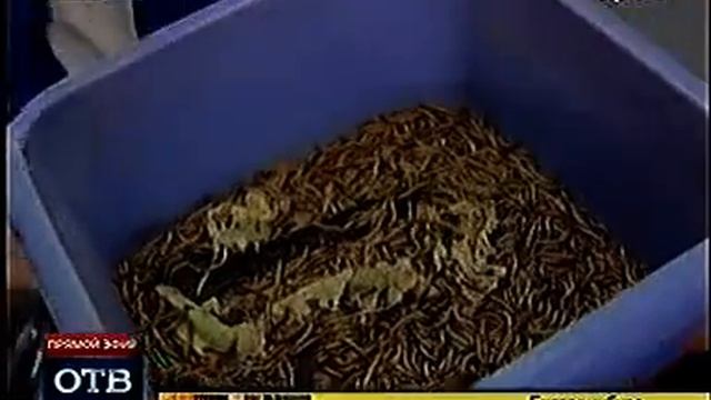 Ермак, пополнение в зоопарке