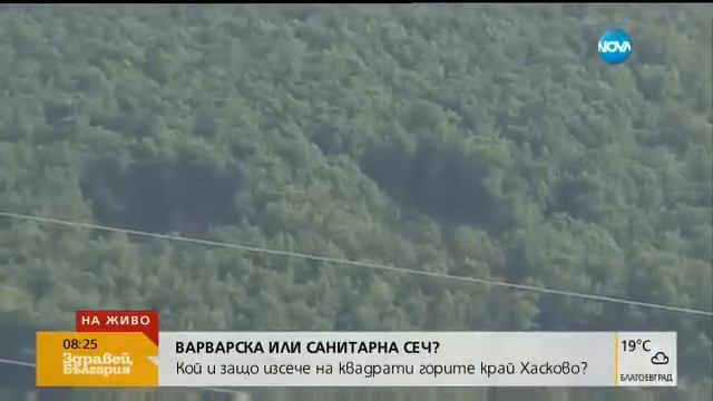 Кой и защо изсече на квадрати горите край Хасково?