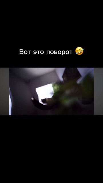 #dealer #мем #рекомендации #егорикупал #мемы #шортс #прикол
