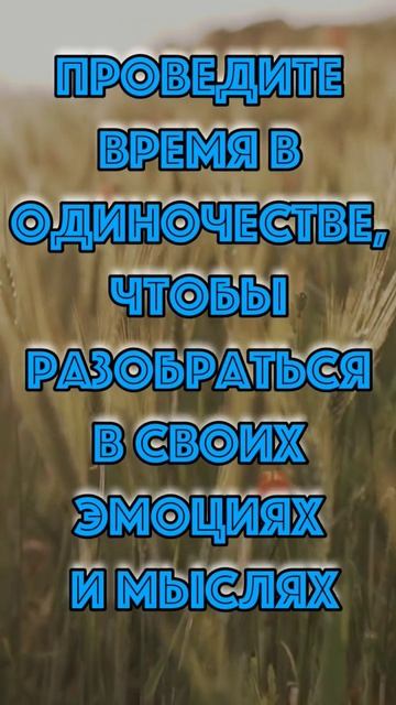 Психологический Гороскоп: Раскройте Себя по Знаку Зодиака! стрелец 27