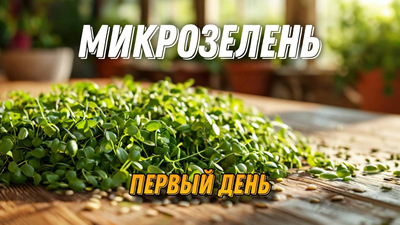 Выращивание микрозелени. Ч.1