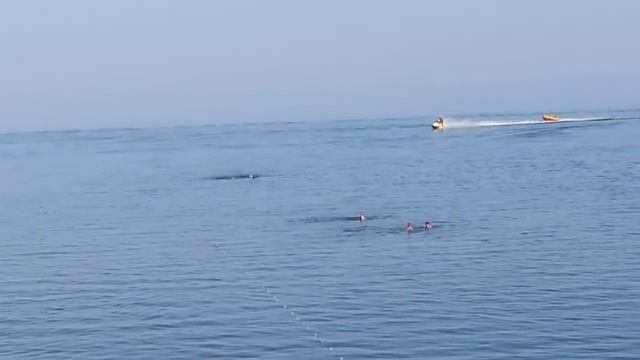 13 августа 2019 г.