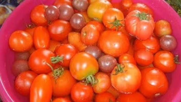 Помидоры на зиму. Маринкины творинки. Всем МИРА и Добра!