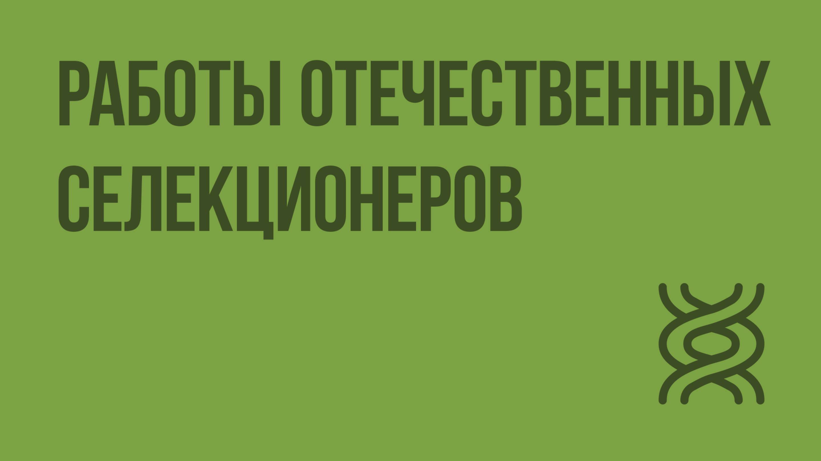 Работы отечественных селекционеров. Видеоурок по биологии 9 класс