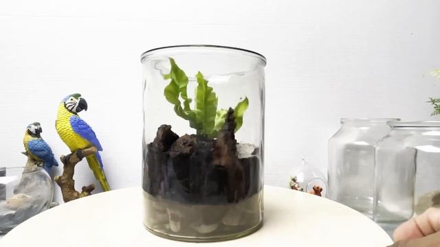 How to make a terrarium with a animal figurine - Emu