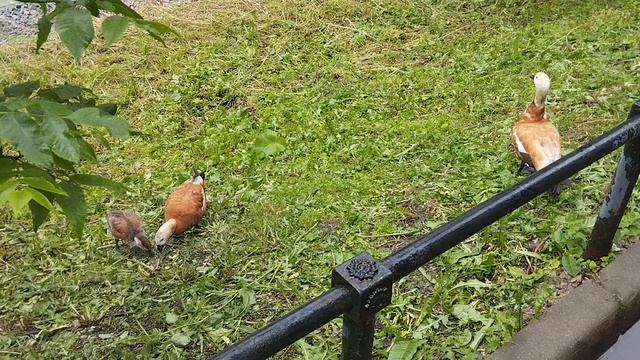 1000011547.mp4