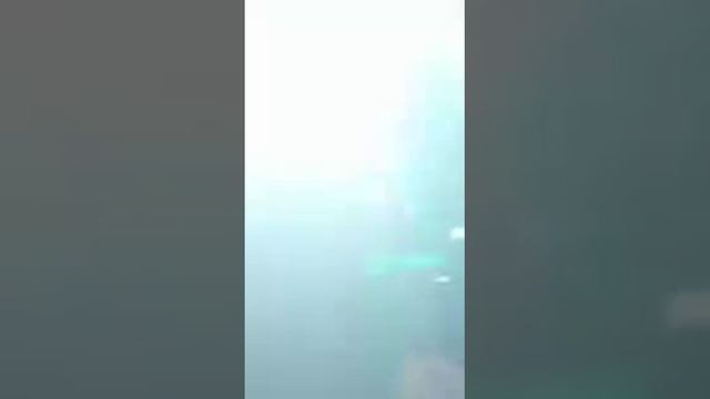 Петр Погодаев группа крови