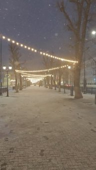 г.Тверь 02.02.25 ⏰8:00АМ, 0° ☁️❄️☔