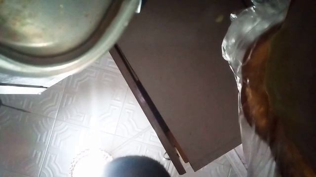 lv_0_20250201224533.mp4