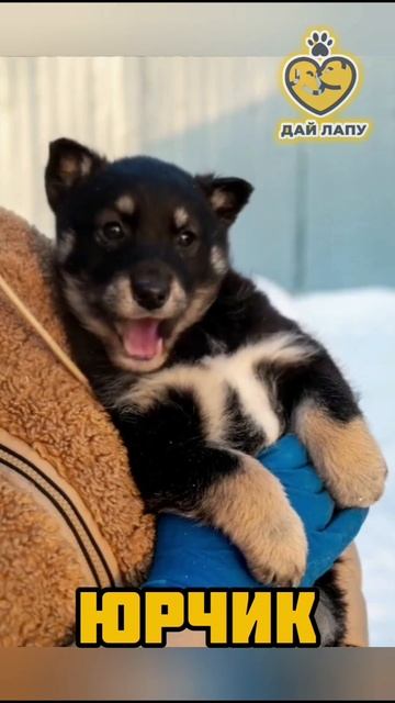 Мальчик Юрочка ищет любящих хозяев 🥰