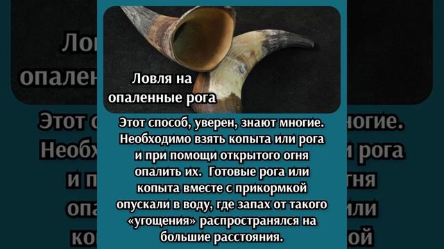 Дедовские способы ловли рыбы, очень интересно и полезно!