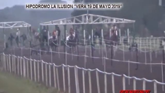 11   HIPODROMO LA ILUSION MAMBA NEGRA