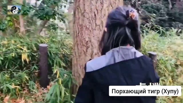 19 лабиринты кунг-фу