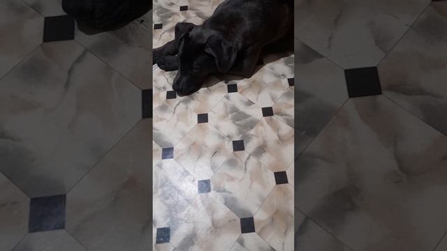 Обиделась/ все про все /