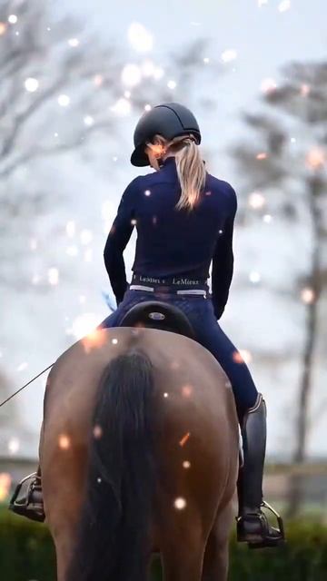 Молодой, гнедой, в нежно синей амуниции. Мммм.... Идеал🈵☯️