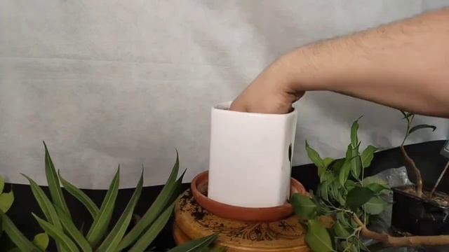 воздушная отводка2 √1