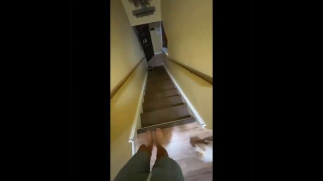 Лестница