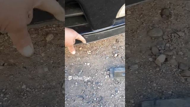 1738487002626_001.mp4