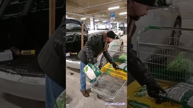 выгулял жену