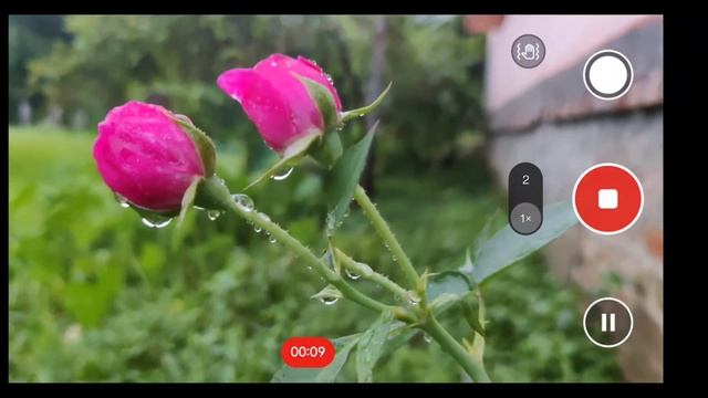 GCAM port Not Working 🚫 Problems Solution ✅ || Stable Google Camera For Your Phone 📱. With LMC