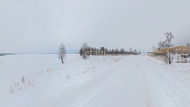 4445936