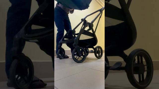 Прогулочная коляска Maxi Cosi Leona 2