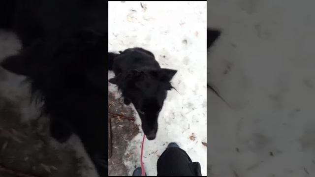 Шейпинг с Никой. Первое занятие. Видео от 02.02.25 г.