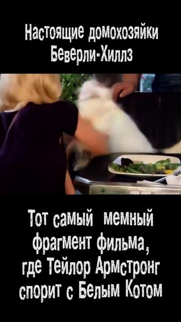 Мем с котом и Блондинкой