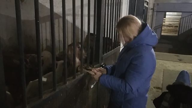Козлята